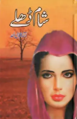 Sham Dhale urdu novel android App screenshot 3